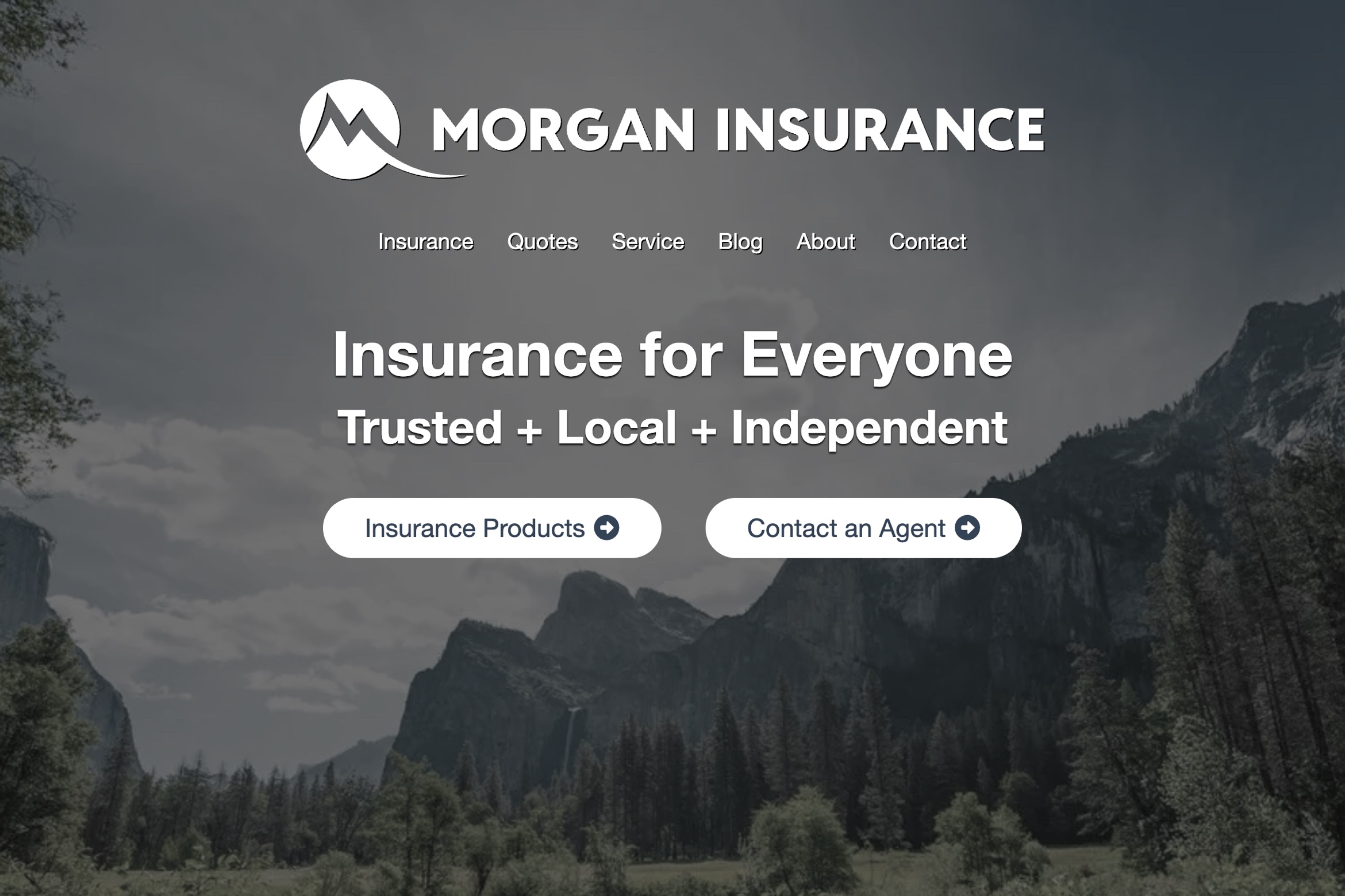 Screentshot of Morgan Insurance website